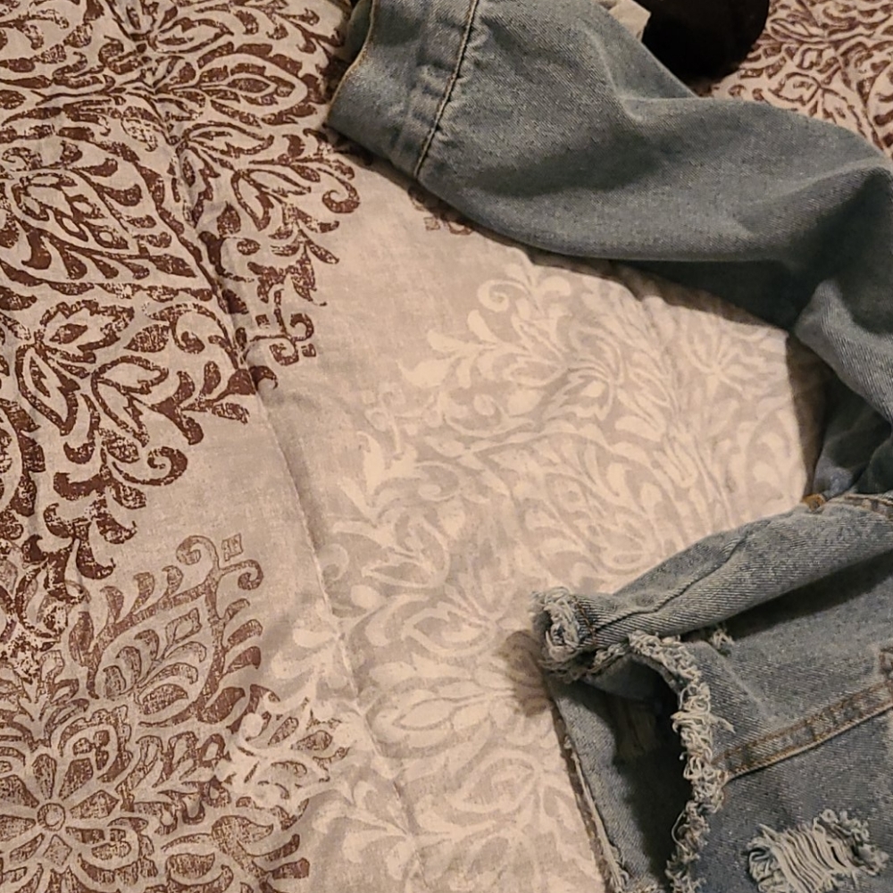 Jacket - Picture 2 of 3